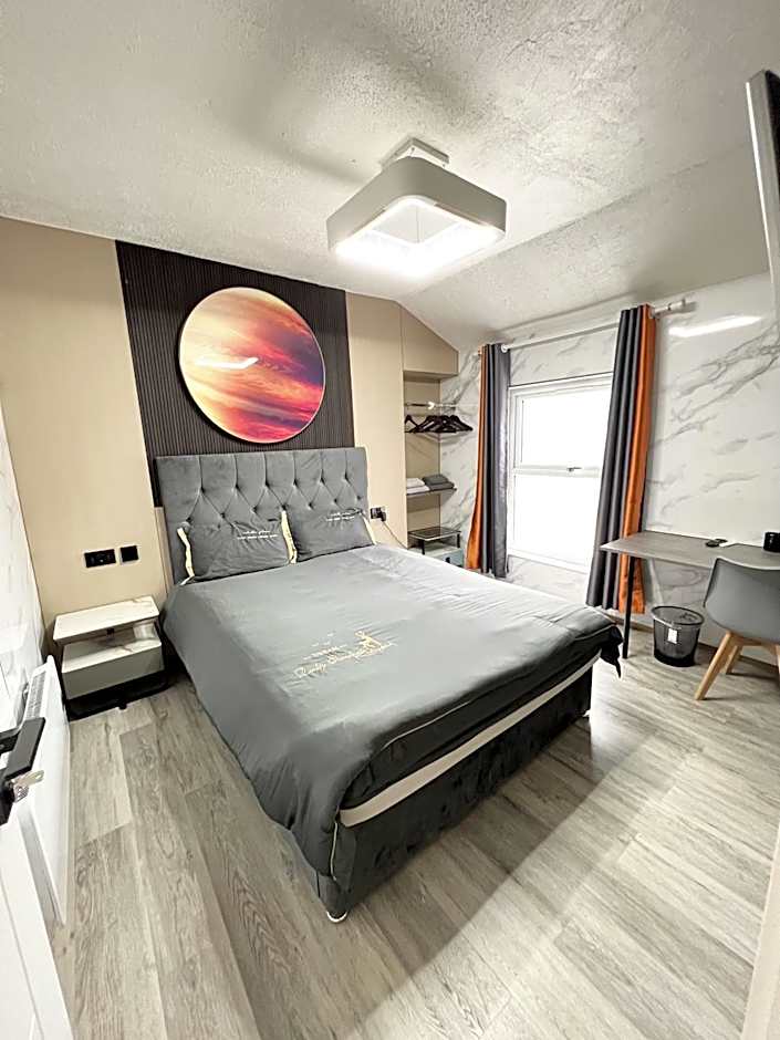 The Modern Space - New Renovation!