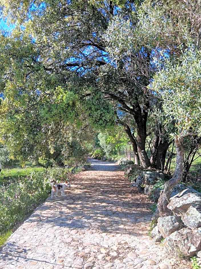 Hotel Rural Inz-Almaraz