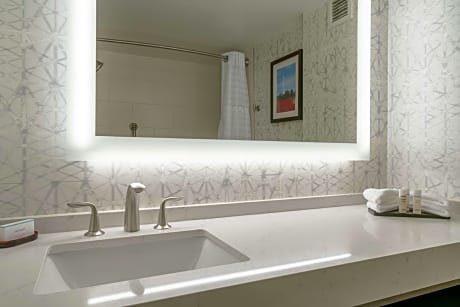 1 King Suite Accessible Roll In Shower Non-Smoking