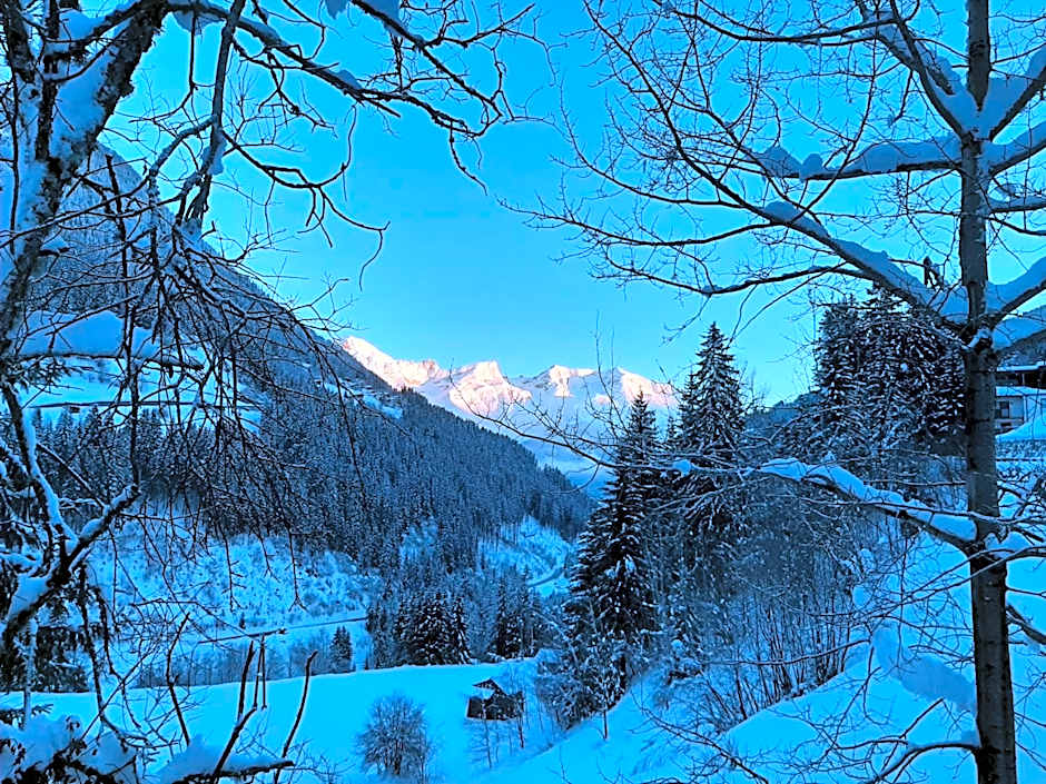 Hotel Buckelhof - See - only 20 min from Ischgl