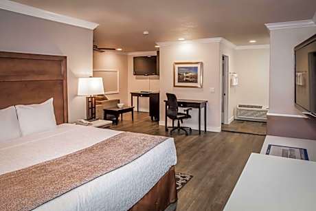 Suite-1 King Bed Non-Smoking Sofabed 2 Flat Screen Tvs Sitting Area Wet Bar Continental Breakfast