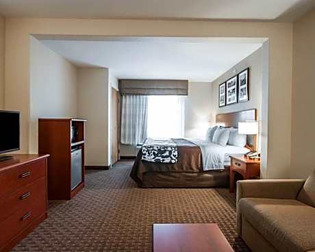 1 King Bed, Suite, Nonsmoking