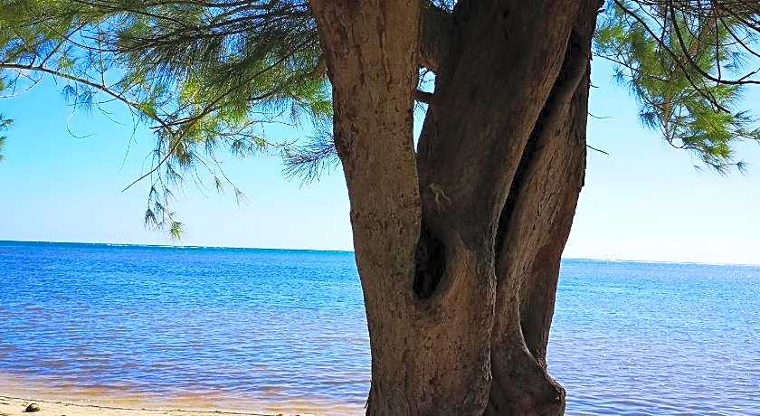 Xcalak Caribe Lodge