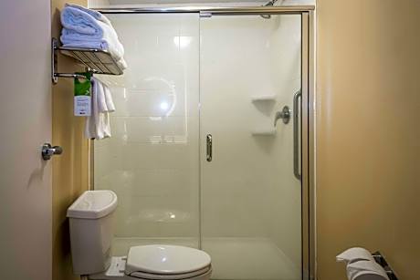 King Suite with Roll-In Shower and Sofa Bed - Mobility Access/Hearing Accessible