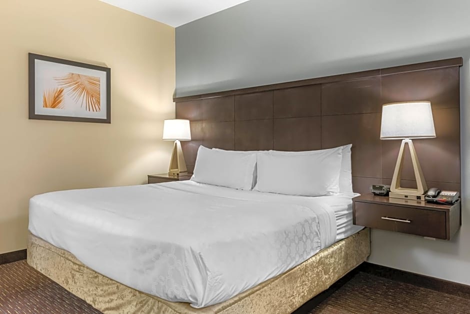 Staybridge Suites St. Petersburg Fl