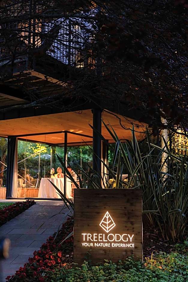 TreeLodgy, The Tree House