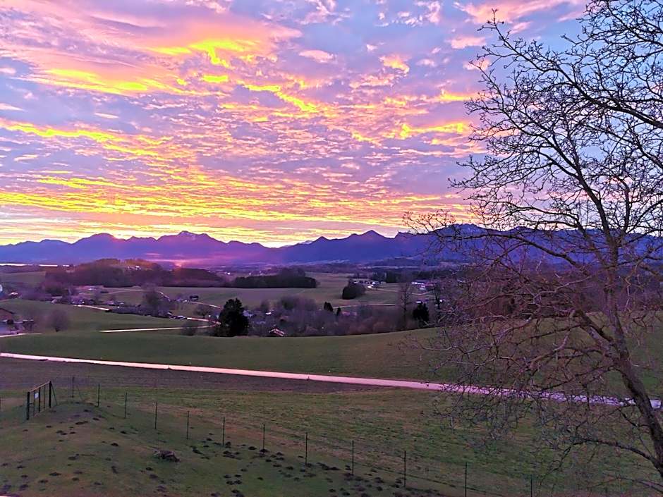Berg Hotel Weingarten Garni