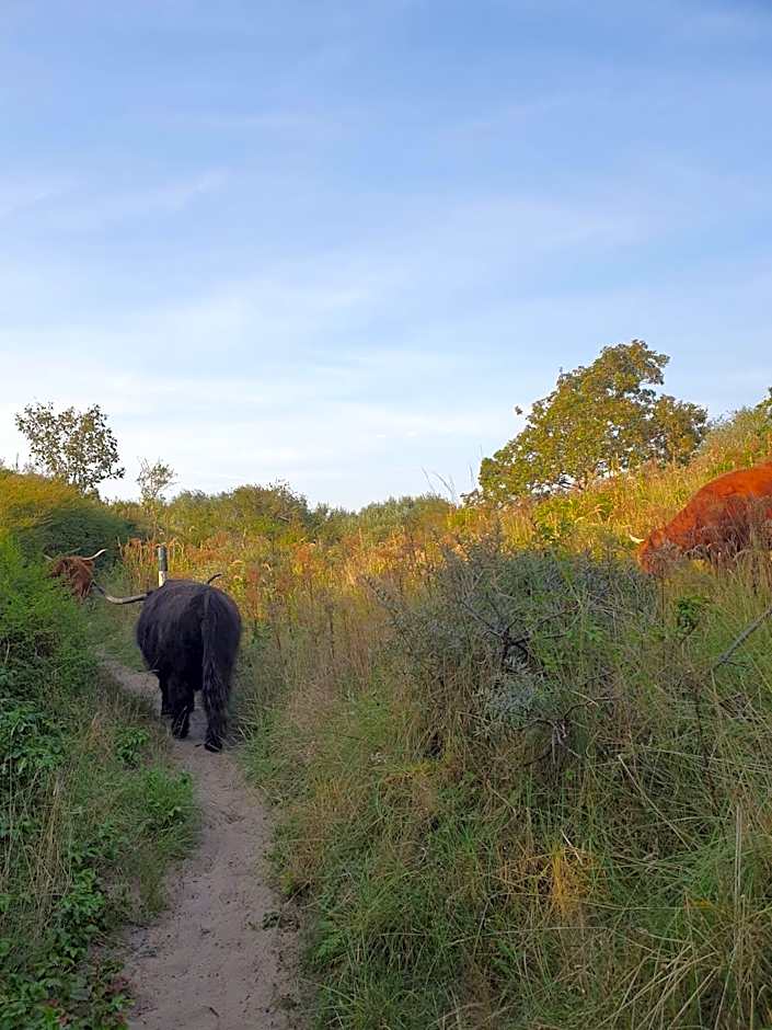 Cozy Garden House kijkduin Beach
