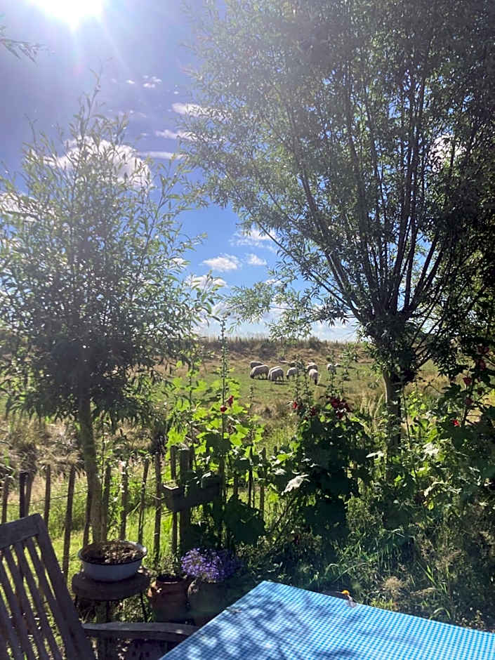 Rosa's zonnige huisje bij duinen bos en strand