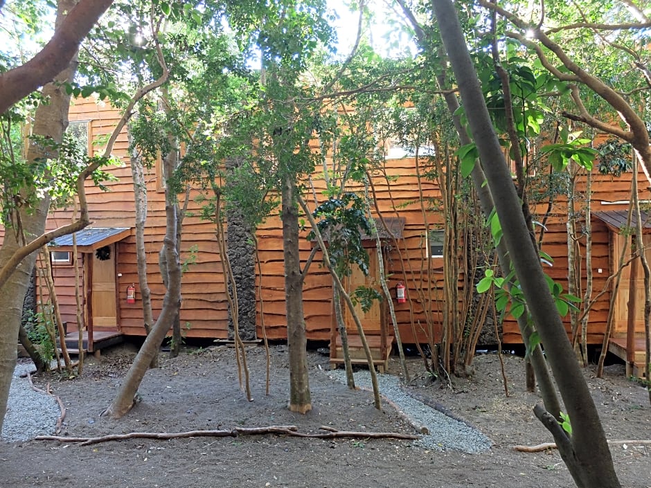 Cabañas Ensenada Bosque Nativo