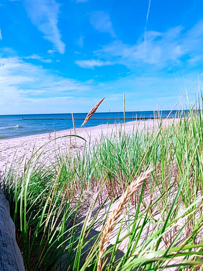 Domki Letniskowe Oaza Wicie