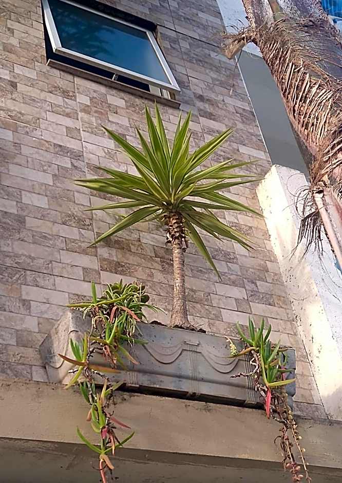 Pousada Beach Eco House Floripa Com Ar Condicionado