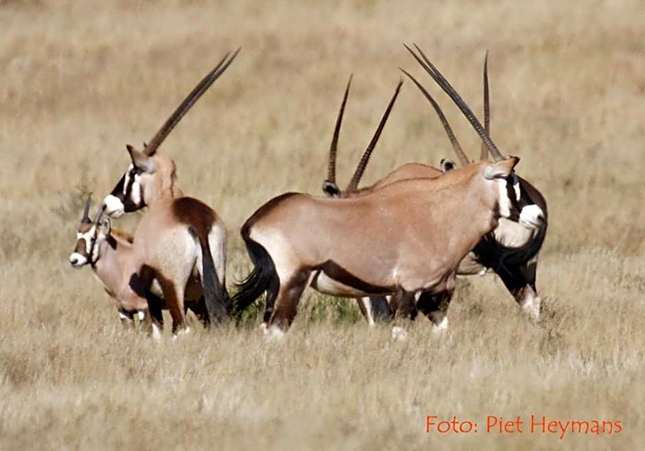Otterskloof Game Reserve
