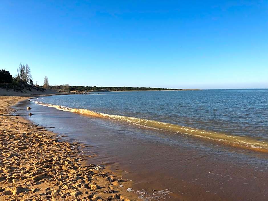 Clos des Aigrettes -6 Gîtes de charme et confort à 30m du Port de La Cotinière