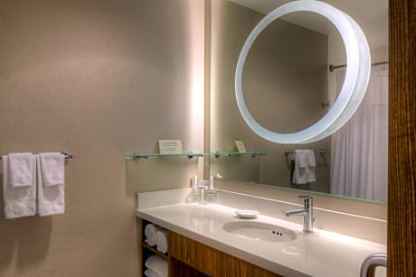 Studio, Multiple Beds (2 Queen Beds and 1 Double Sofa Bed)