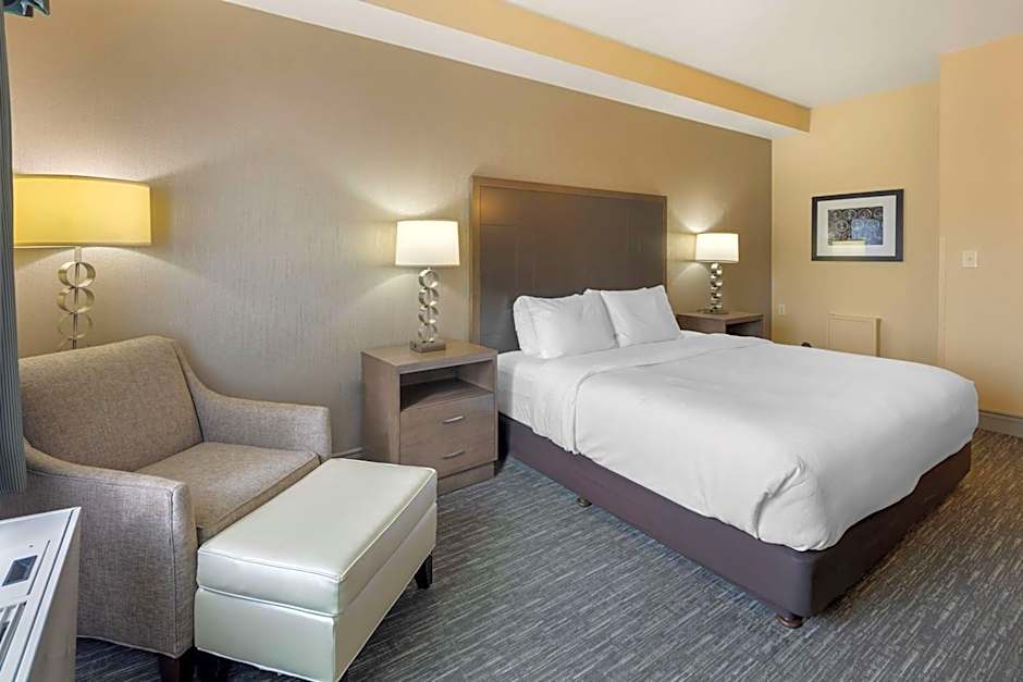 Best Western Plus Chena River Lodge