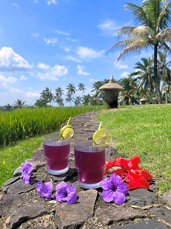 Puri Dajuma Terrace Eco Lodge & Spa