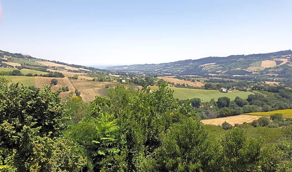 Il Piccolo Carro – Monterubbiano, MO