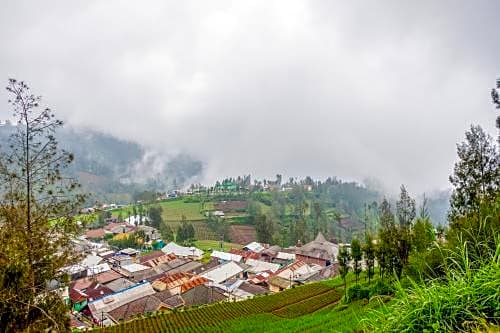 OYO 3004 Penginapan Bromo Adi