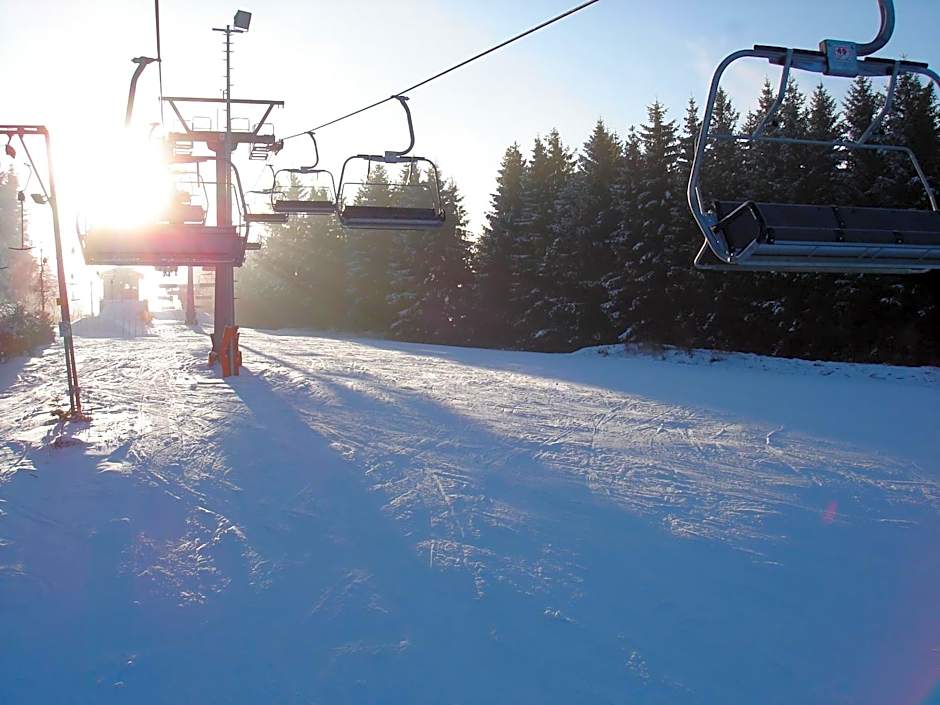 Alm Appartements ehemals Birkenhof
