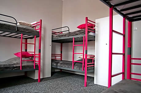 Bunk Bed in Mixed Dormitory Room