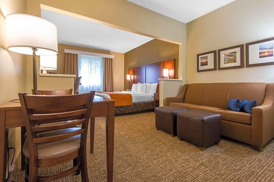 Comfort Suites Rochester Henrietta University Area