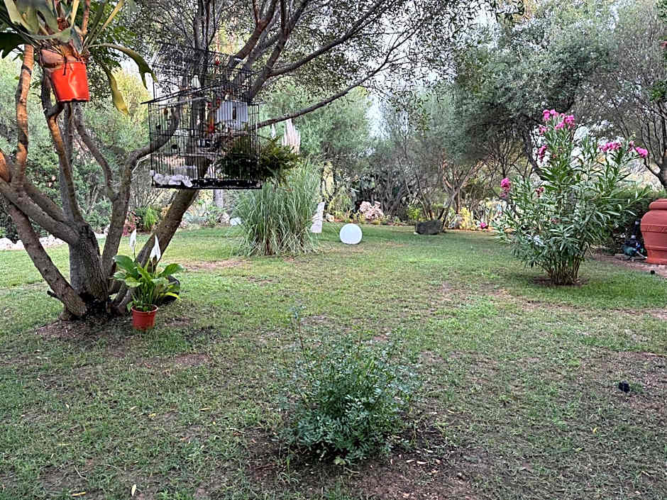 Villa DESIDERIA B&B