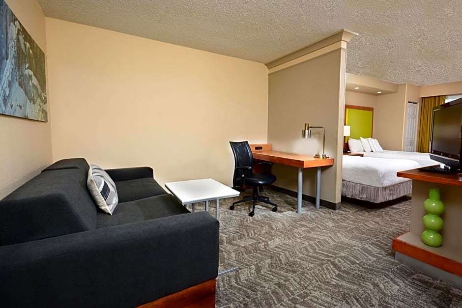 SpringHill Suites by Marriott Lynchburg Airport/University Area