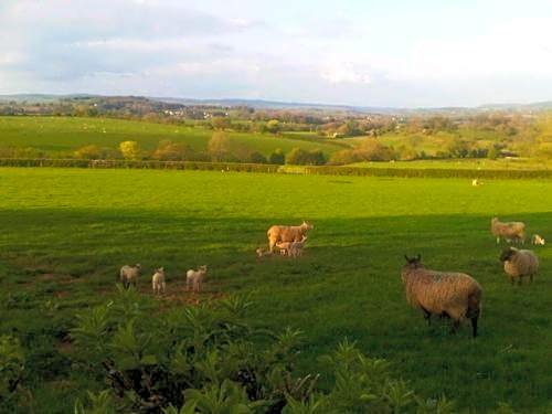 The Draen Bed and Breakfast