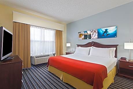 1 King Bed 1 Bdrm Suite With Living Area