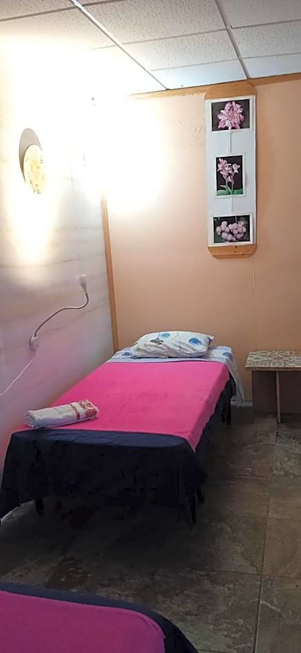 B&B Amigos de la Naturaleza