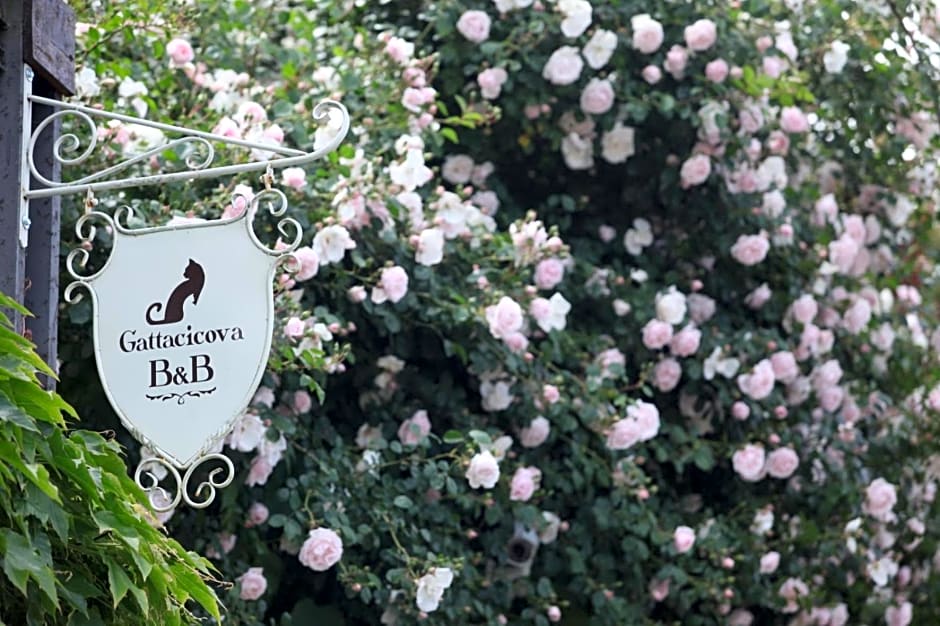 B&B Gattacicova