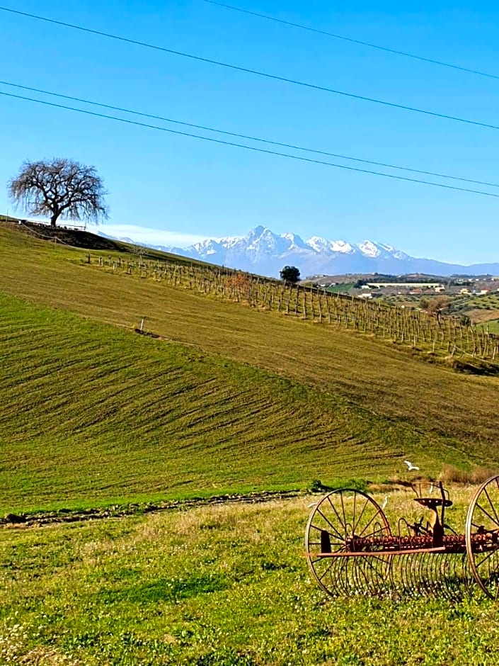 B&B Gli amici del tubarello