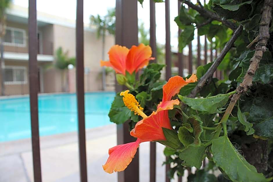 Budget Inn Anaheim near Disneyland Drive