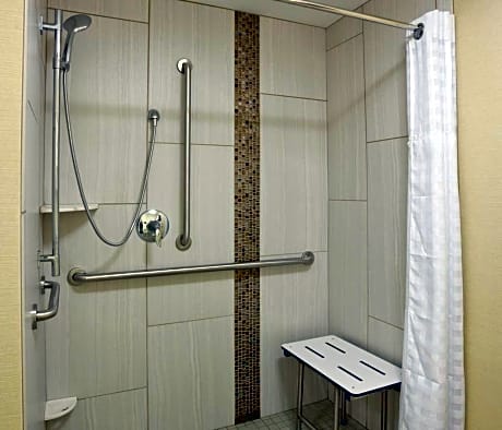 1King Accessible Roll In Shower Suite Nonsmok