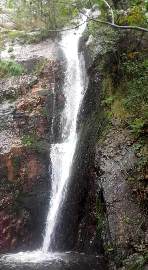 Hotel Restaurante el Fornon