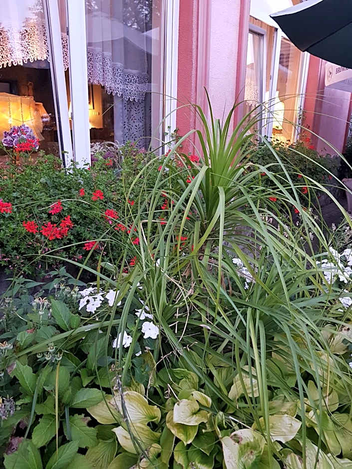 HOTEL "ZAUŁEK" Spółka Cywilna Zbigniew Świderski, Elżbieta Świderska