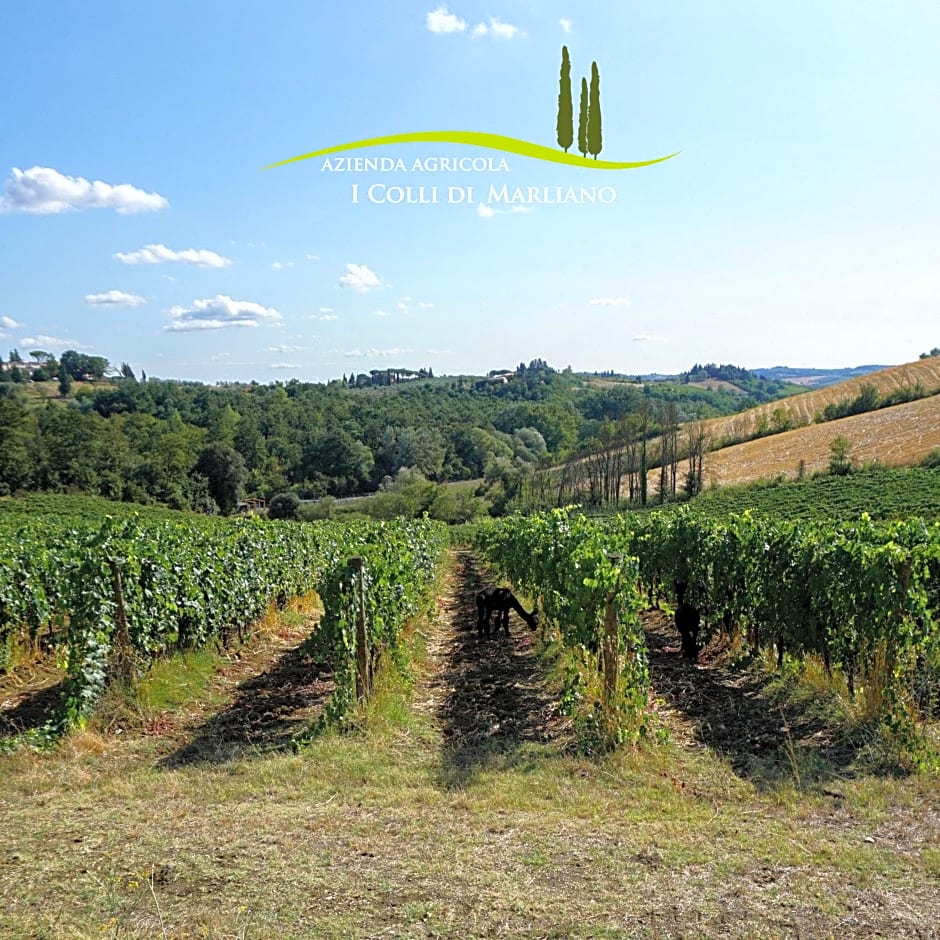 Azienda Agricola I Colli di Marliano