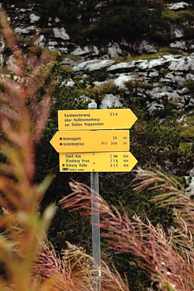 Gjaid-Alm 1739m am Dachstein-Only Accessible by Cable Car