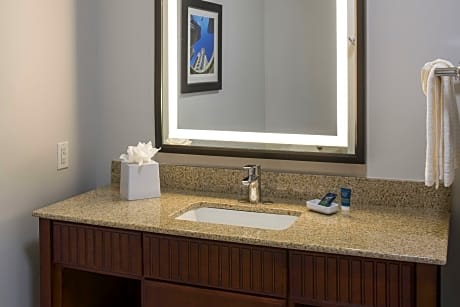 Suite, 1 Bedroom (1 King Bed)