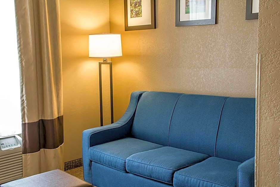 Comfort Suites New Braunfels - San Antonio Area