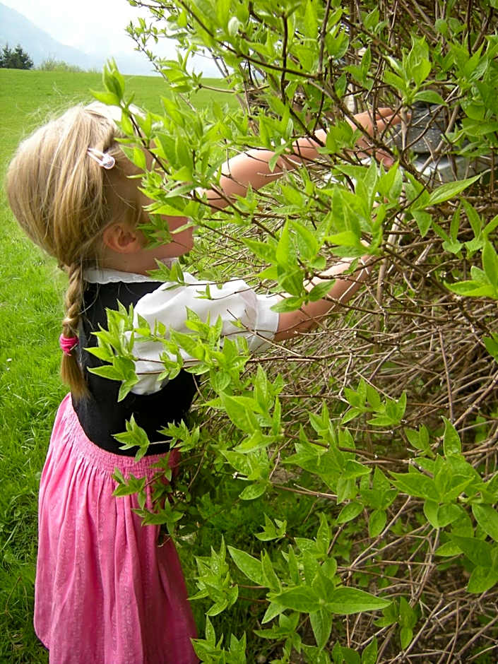 Hotel - Restaurant Gosauerhof