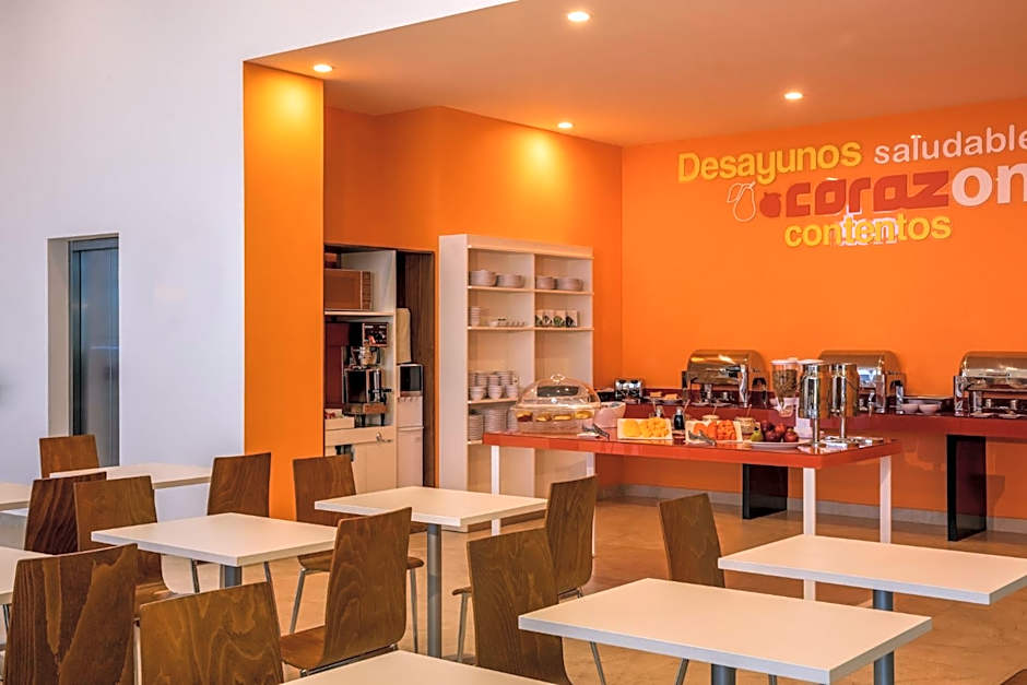 One Chihuahua Fashion Mall