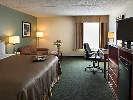 King Room