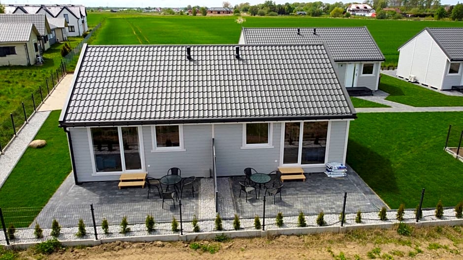 Szara Gąska w Gąskach