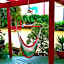 Bazils hostel & Surf School