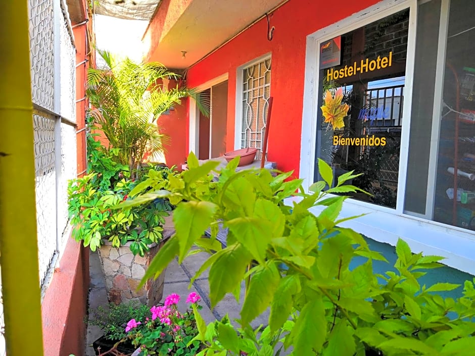 Hostal Maple