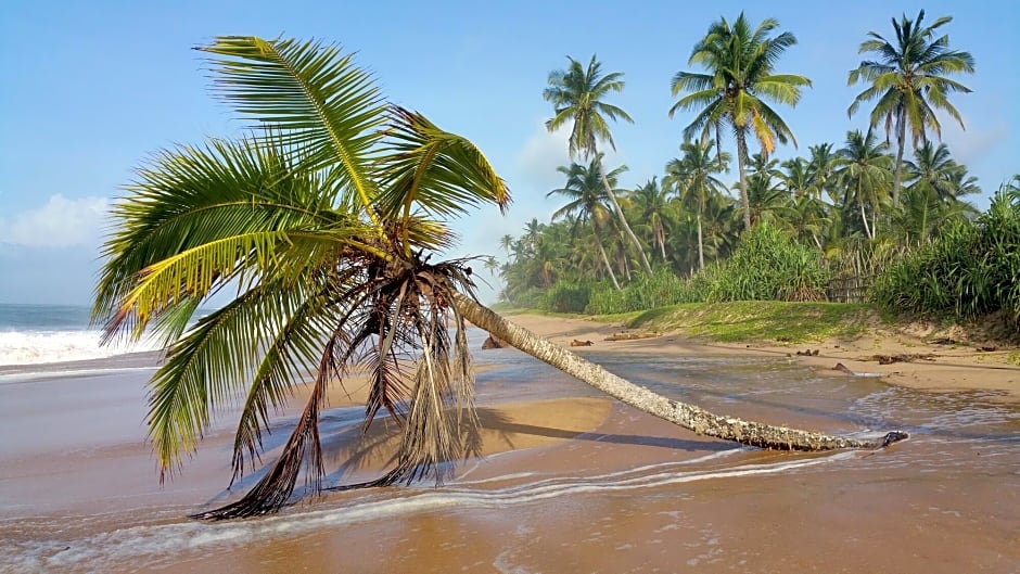 Lankavatara Ocean Retreat & Spa