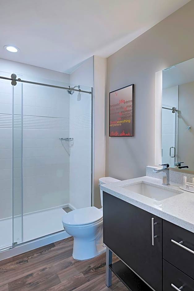 TownePlace Suites by Marriott Dallas DFW Airport North/Irving