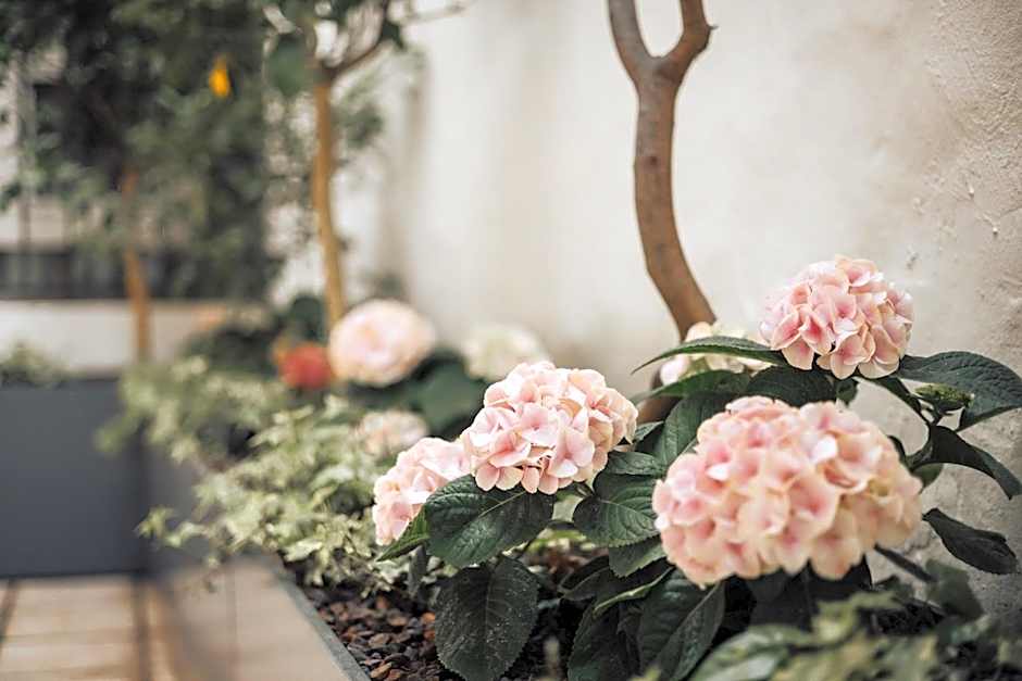 Feichter Hotel & Living